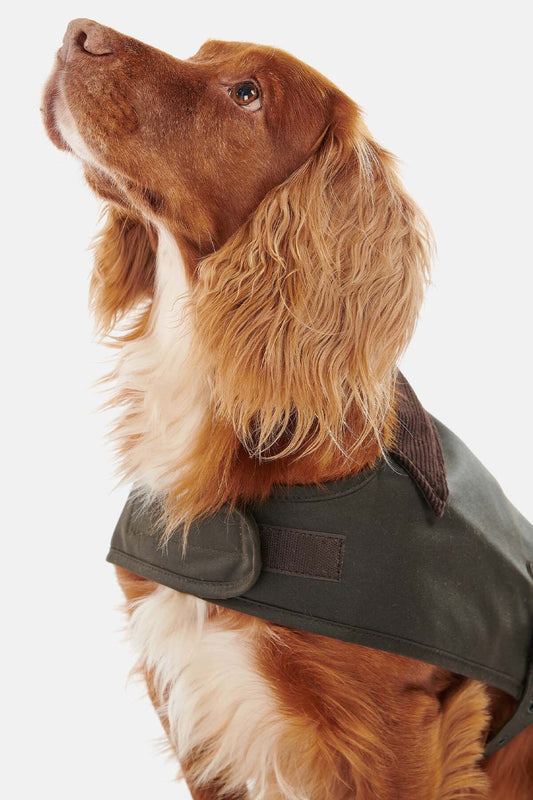 Hundewachsjacke