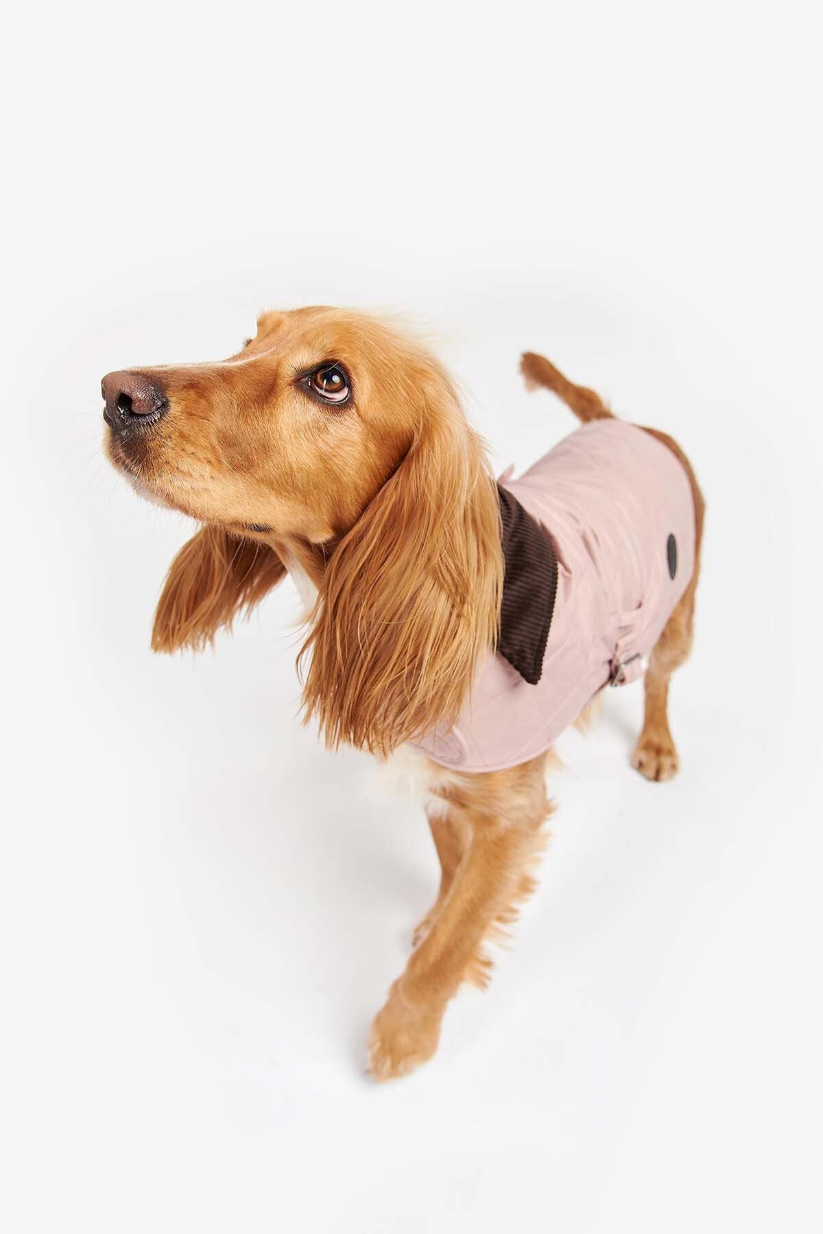 Gesteppter Hundemantel