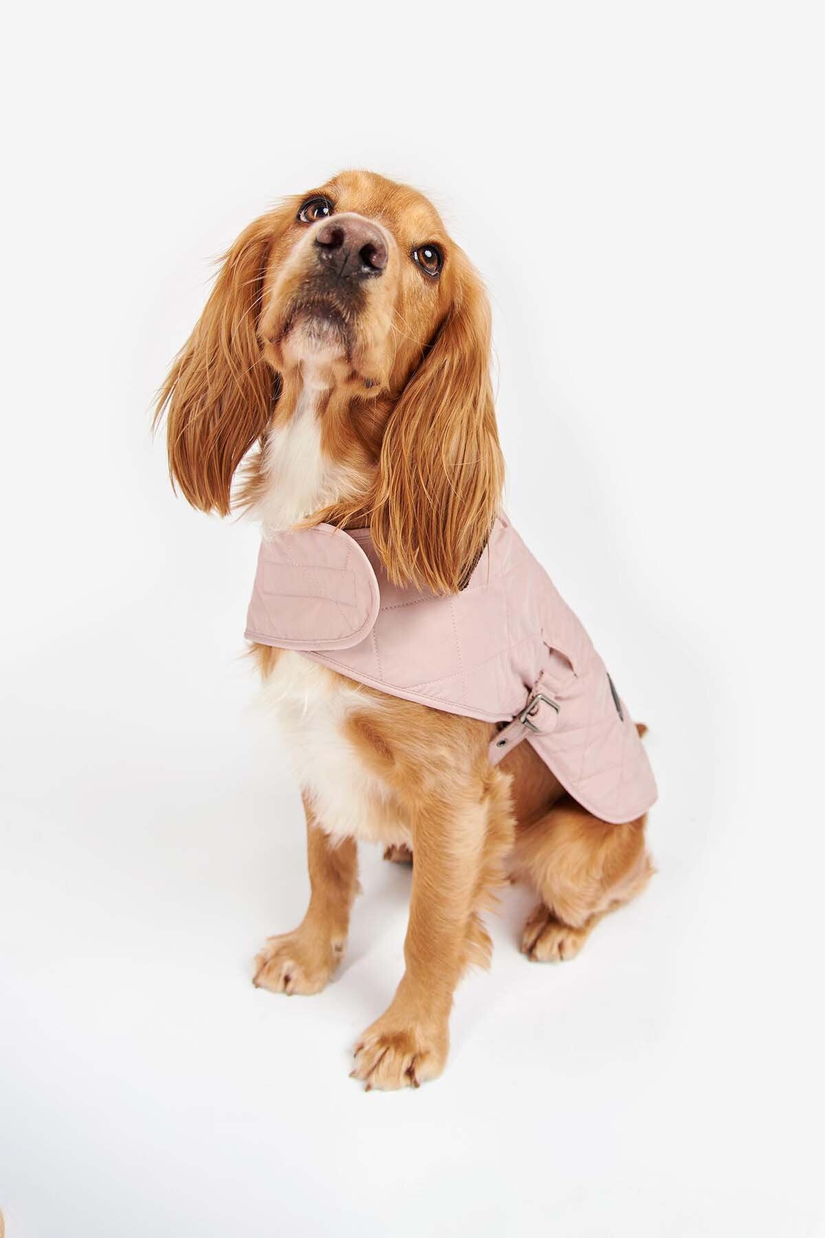Gesteppter Hundemantel