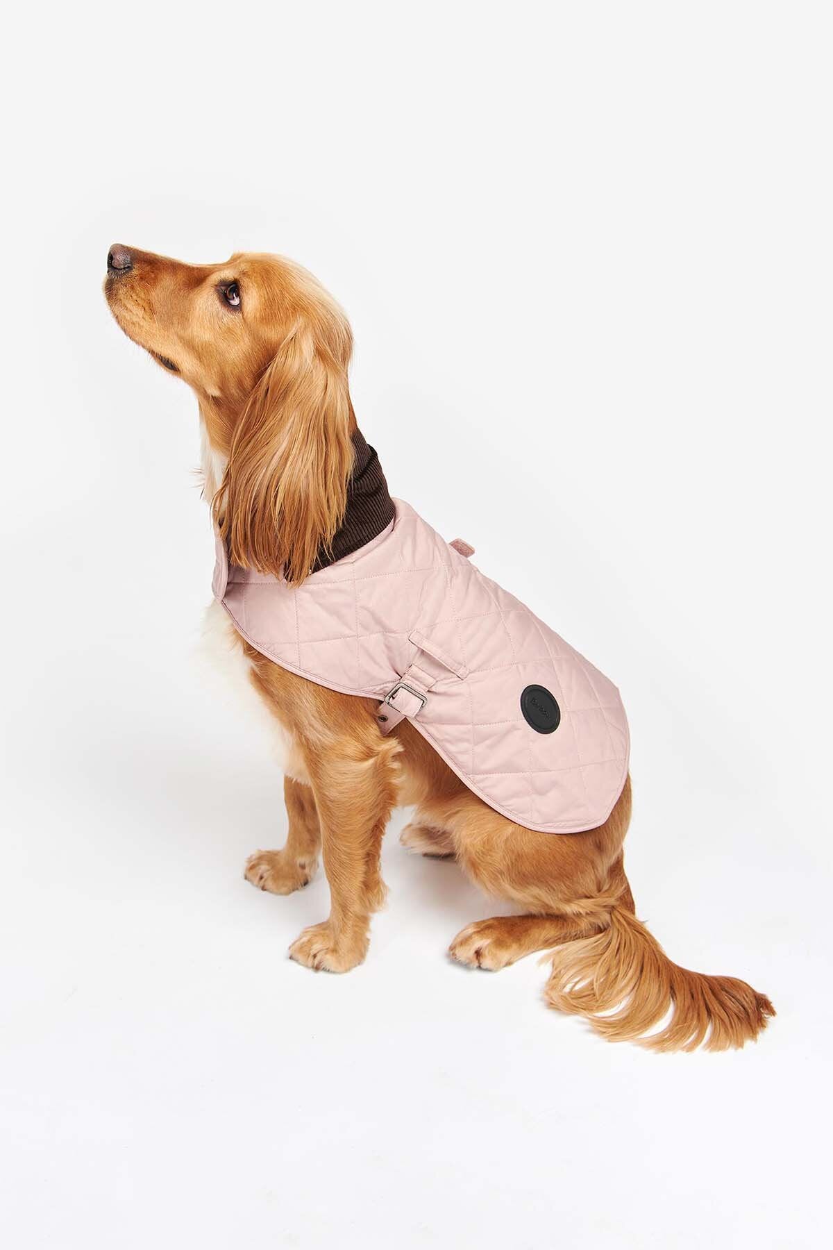 Gesteppter Hundemantel