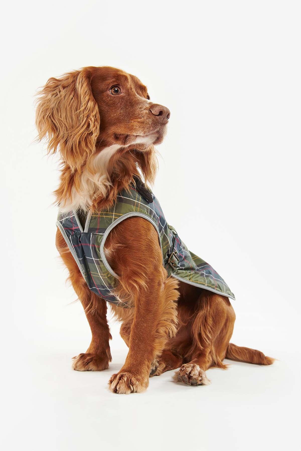 Wasserfester Hundemantel aus Tartan