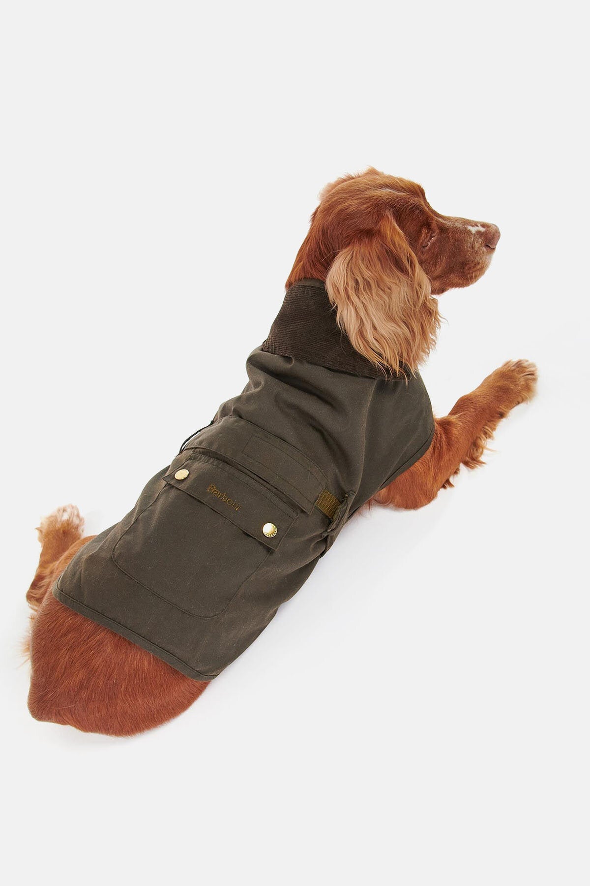 2-in-1-Wachs-Hundemantel