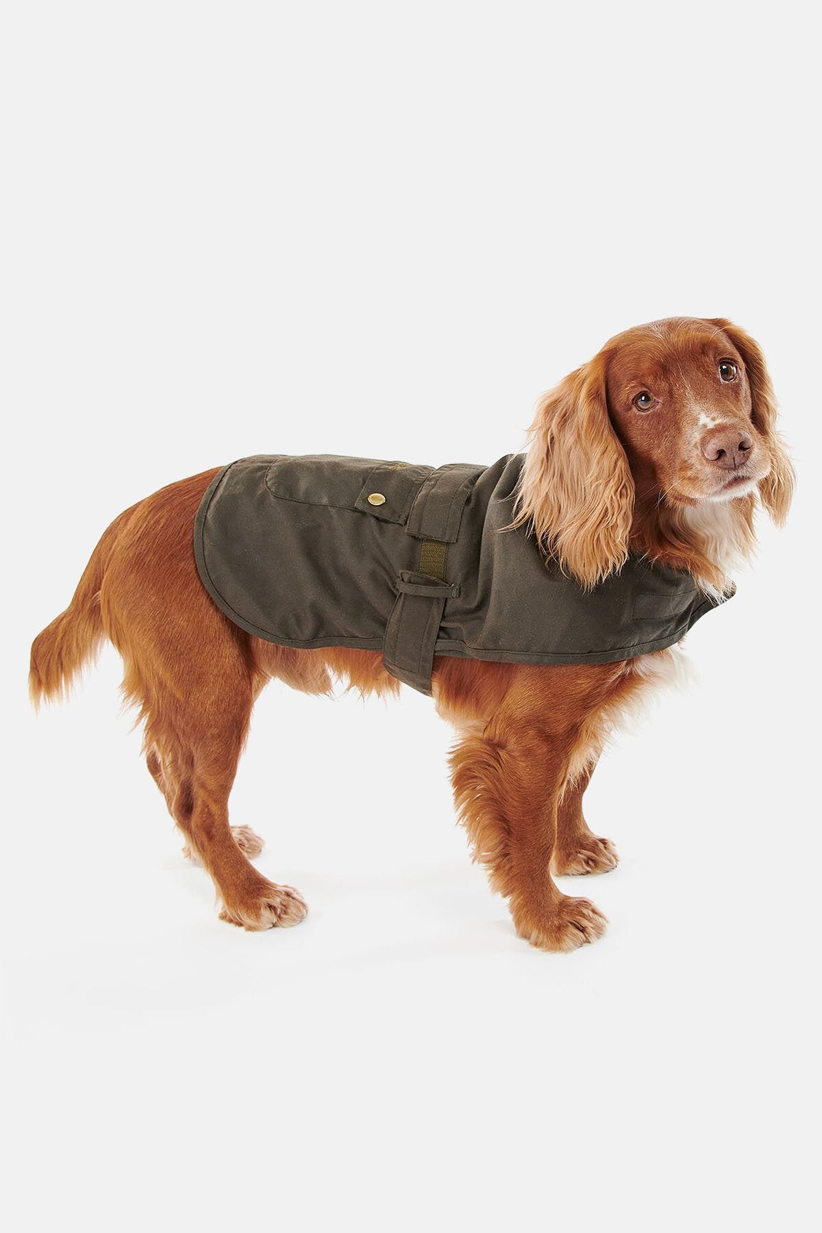 2-in-1-Wachs-Hundemantel