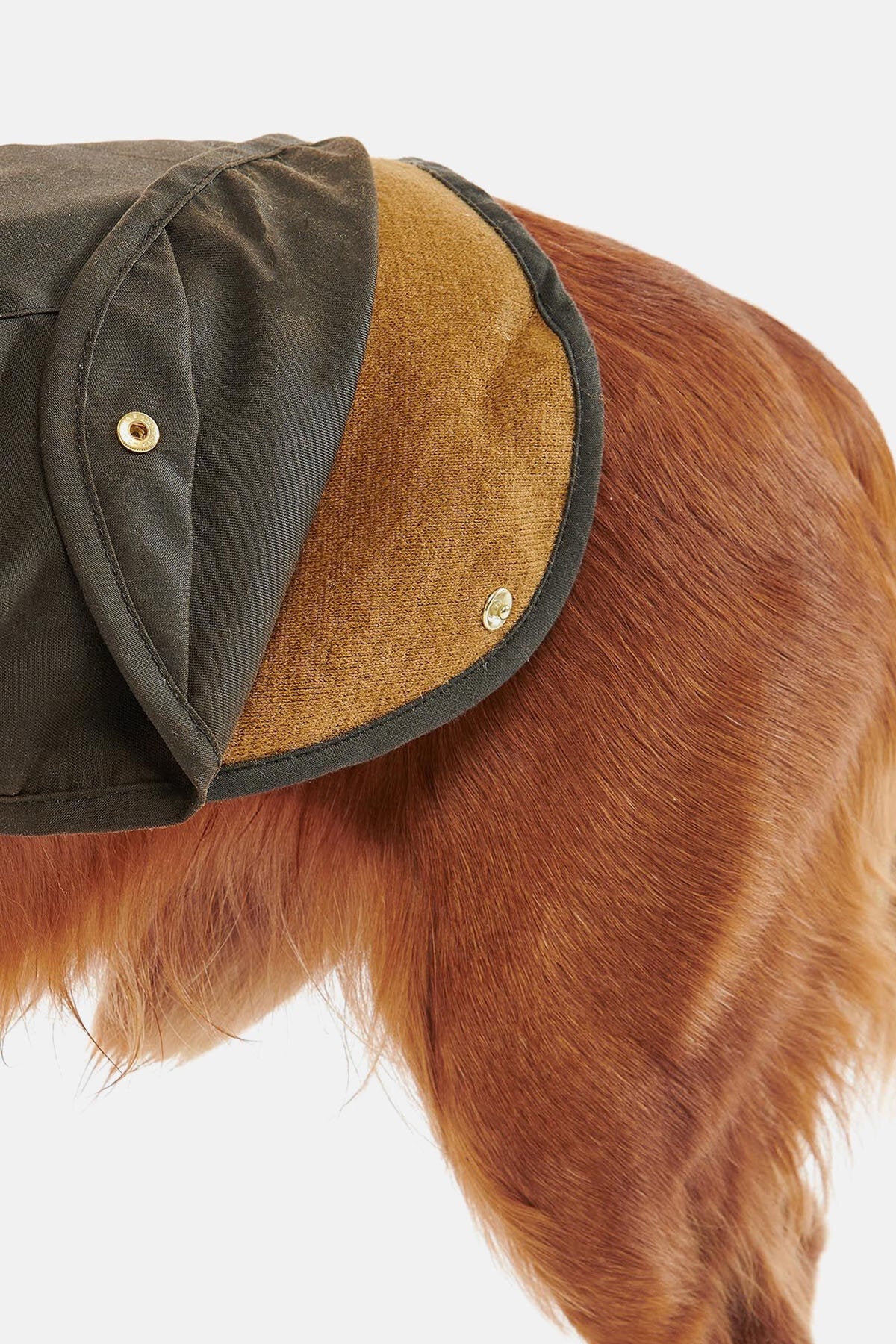 2-in-1-Wachs-Hundemantel