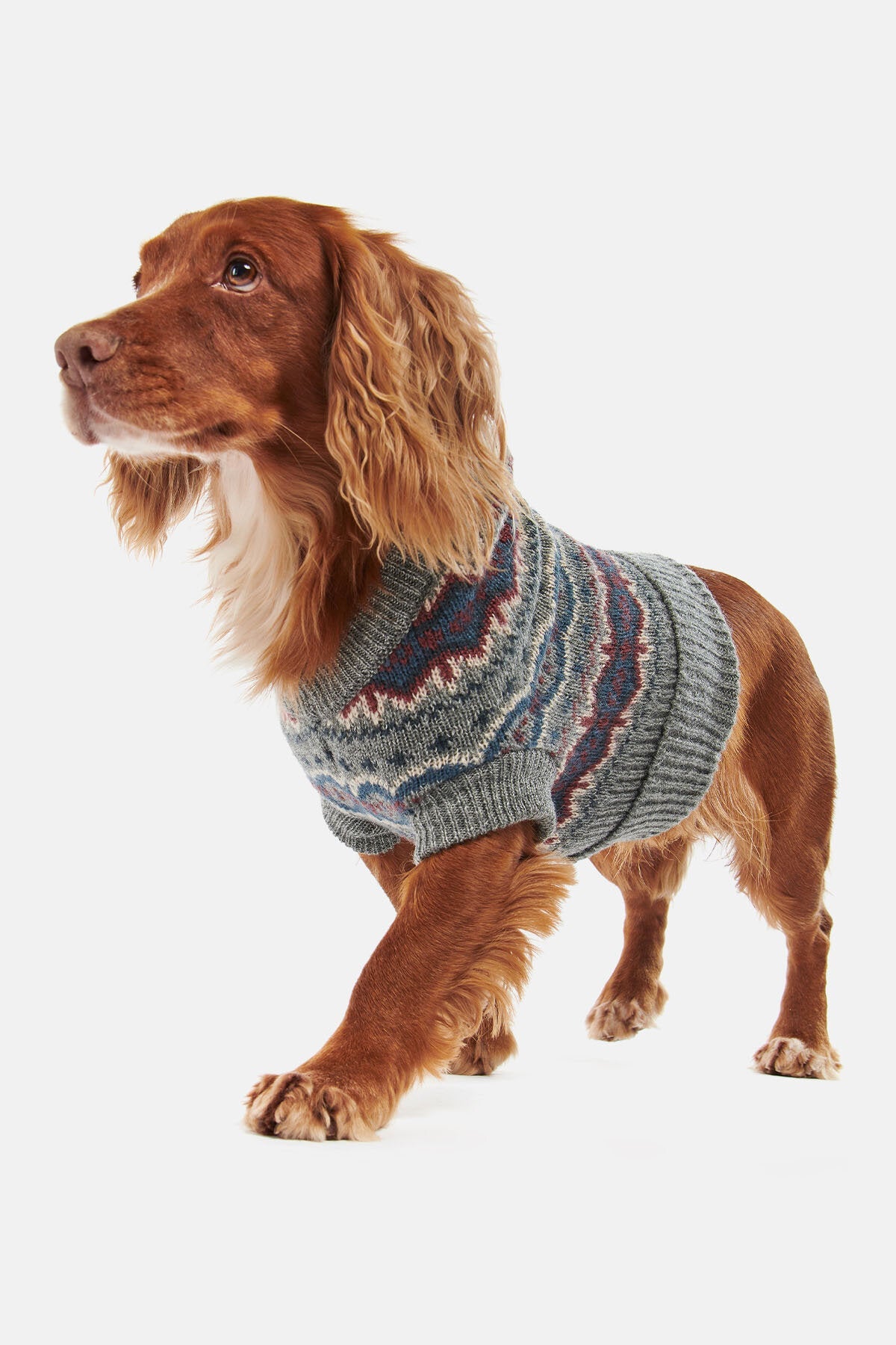 Fair-Isle-Pullover für Hunde