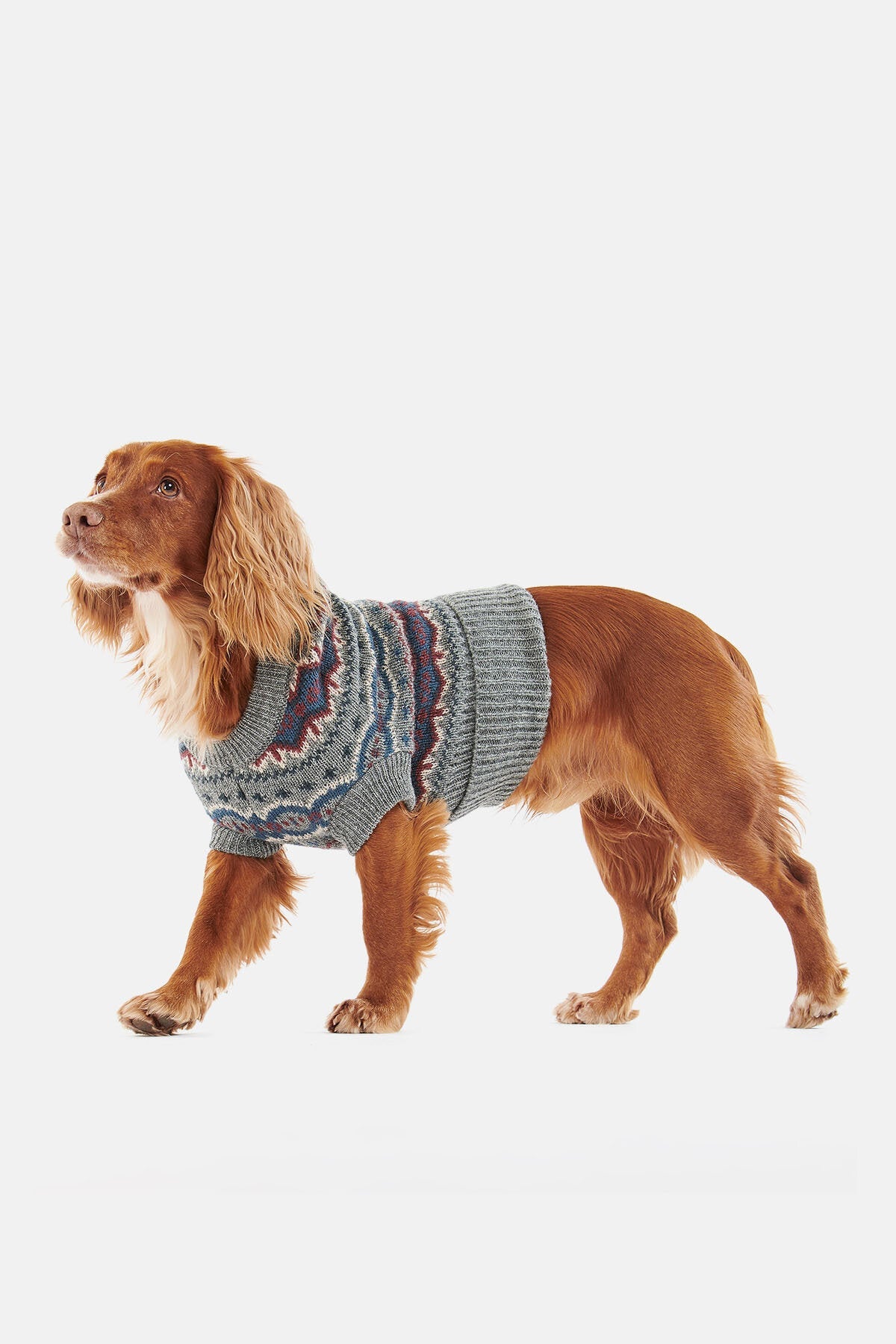 Fair-Isle-Pullover für Hunde