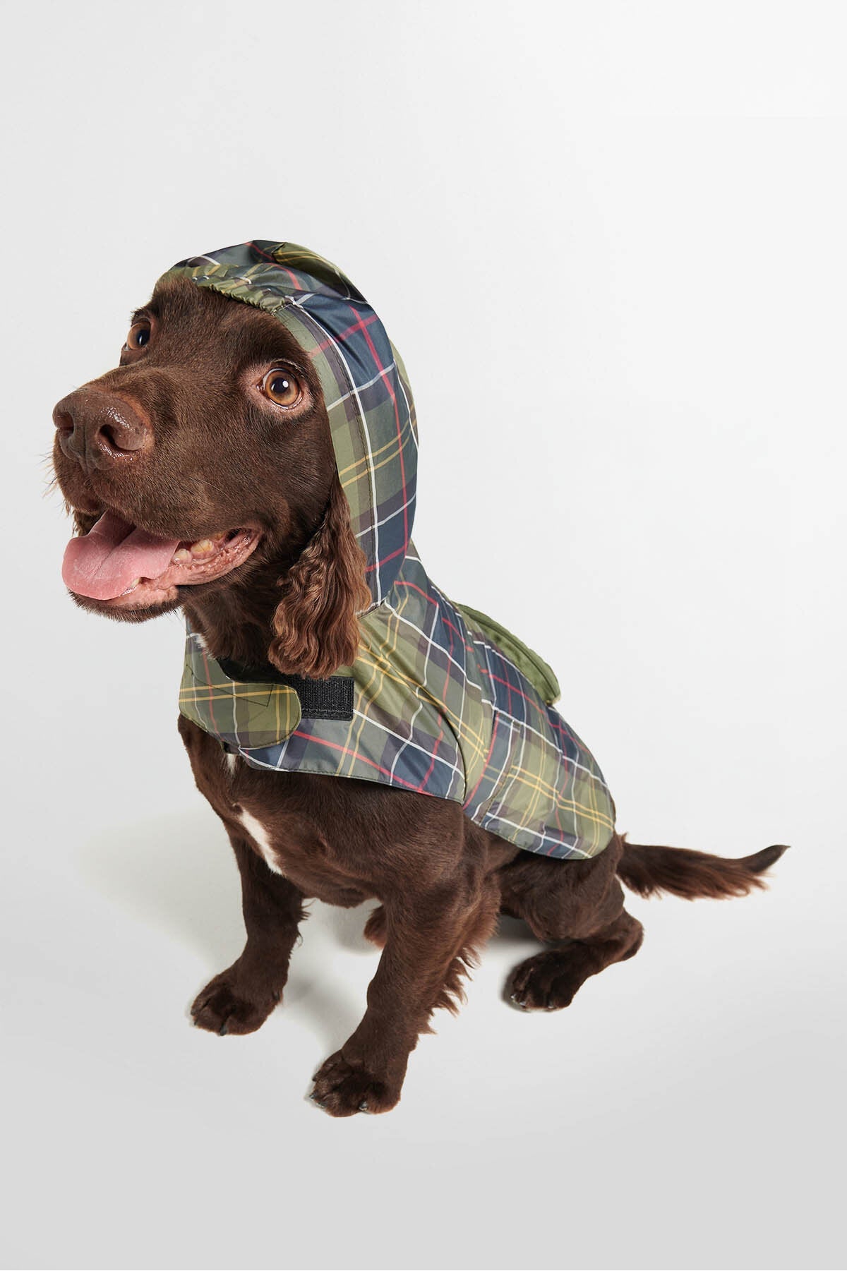 Verstaubarer Tartan-Hundemantel