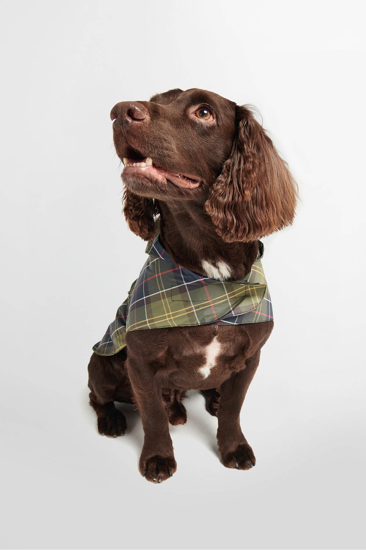 Verstaubarer Tartan-Hundemantel
