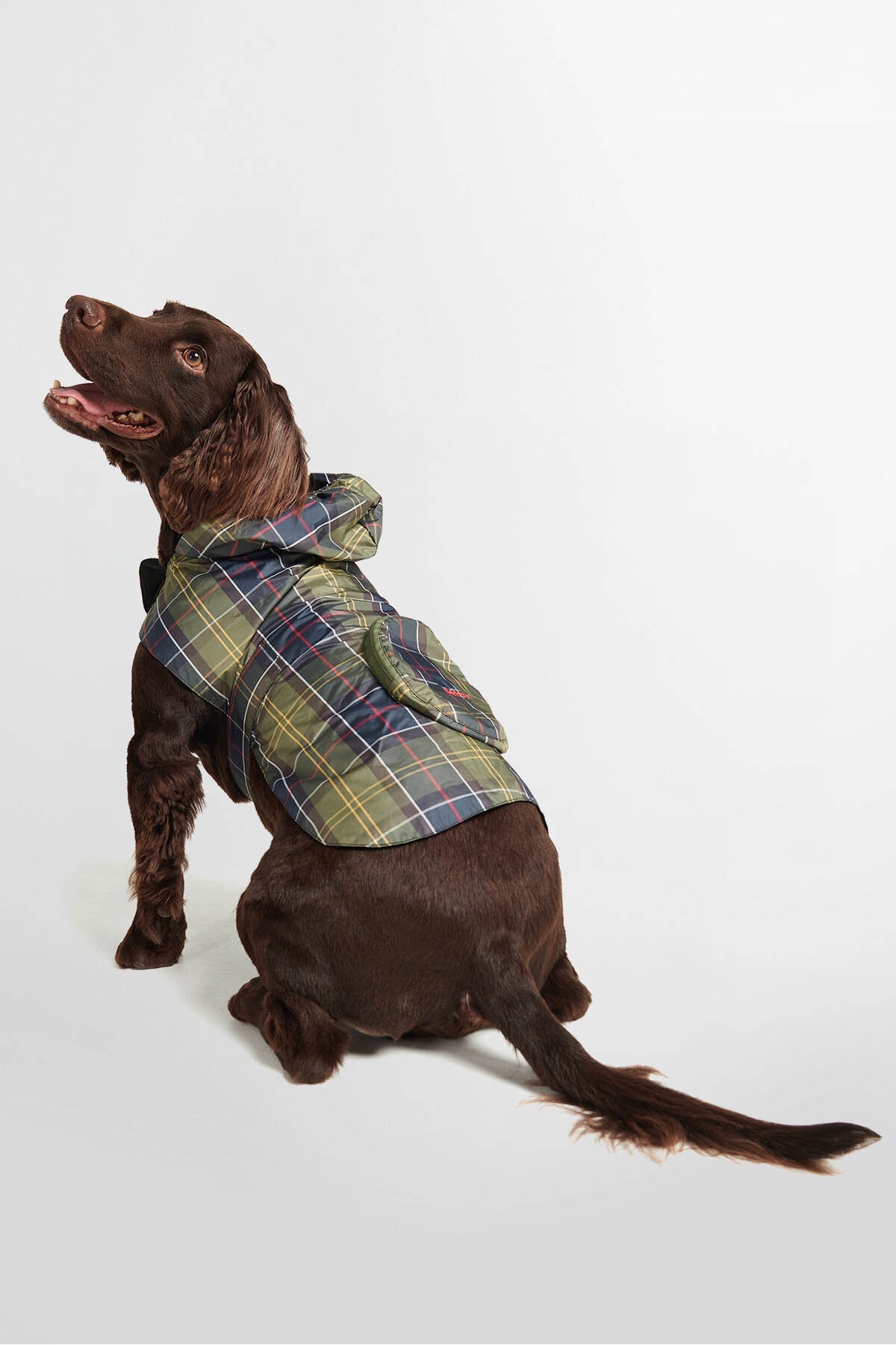 Verstaubarer Tartan-Hundemantel