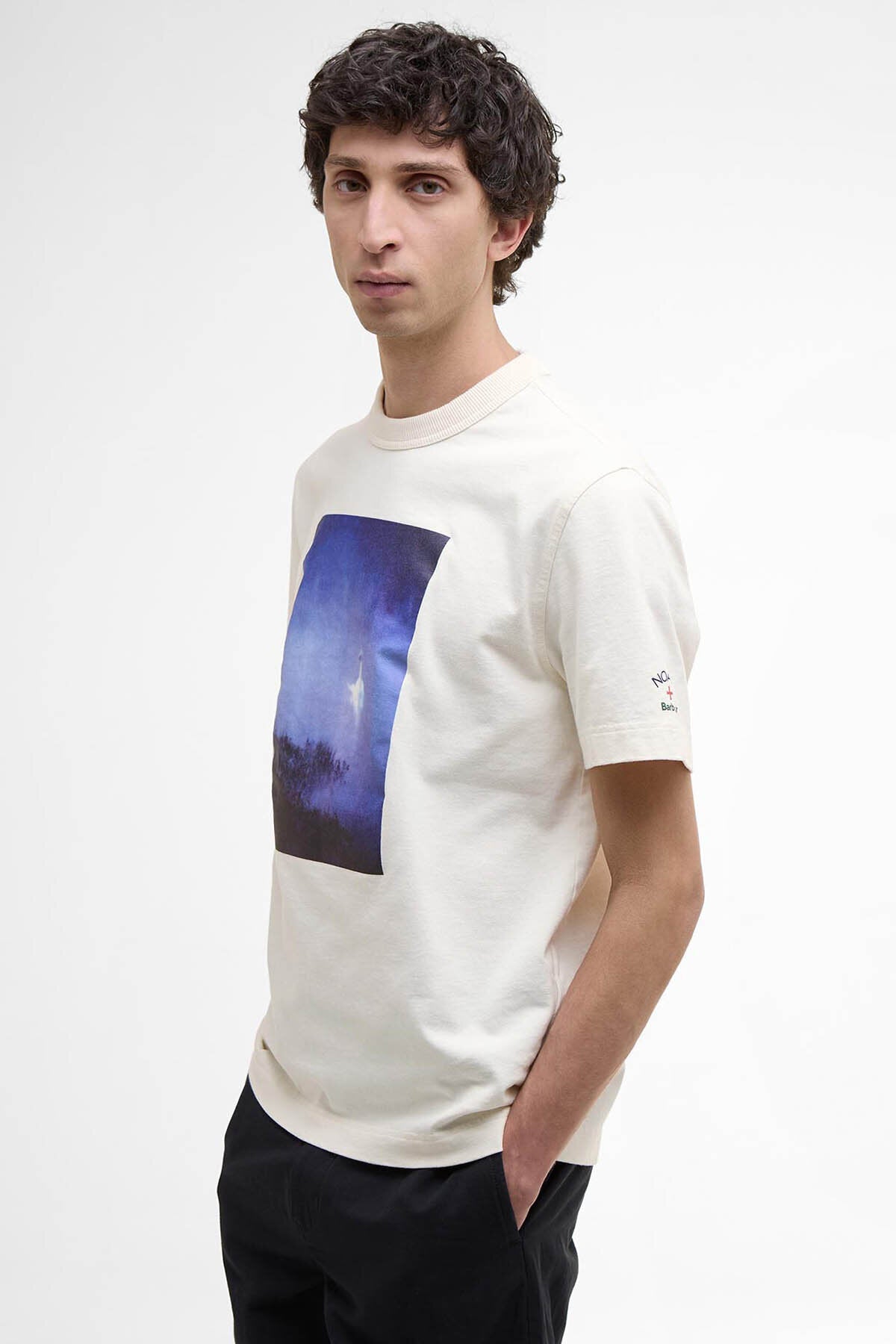 Archiv Schwan T-Shirt