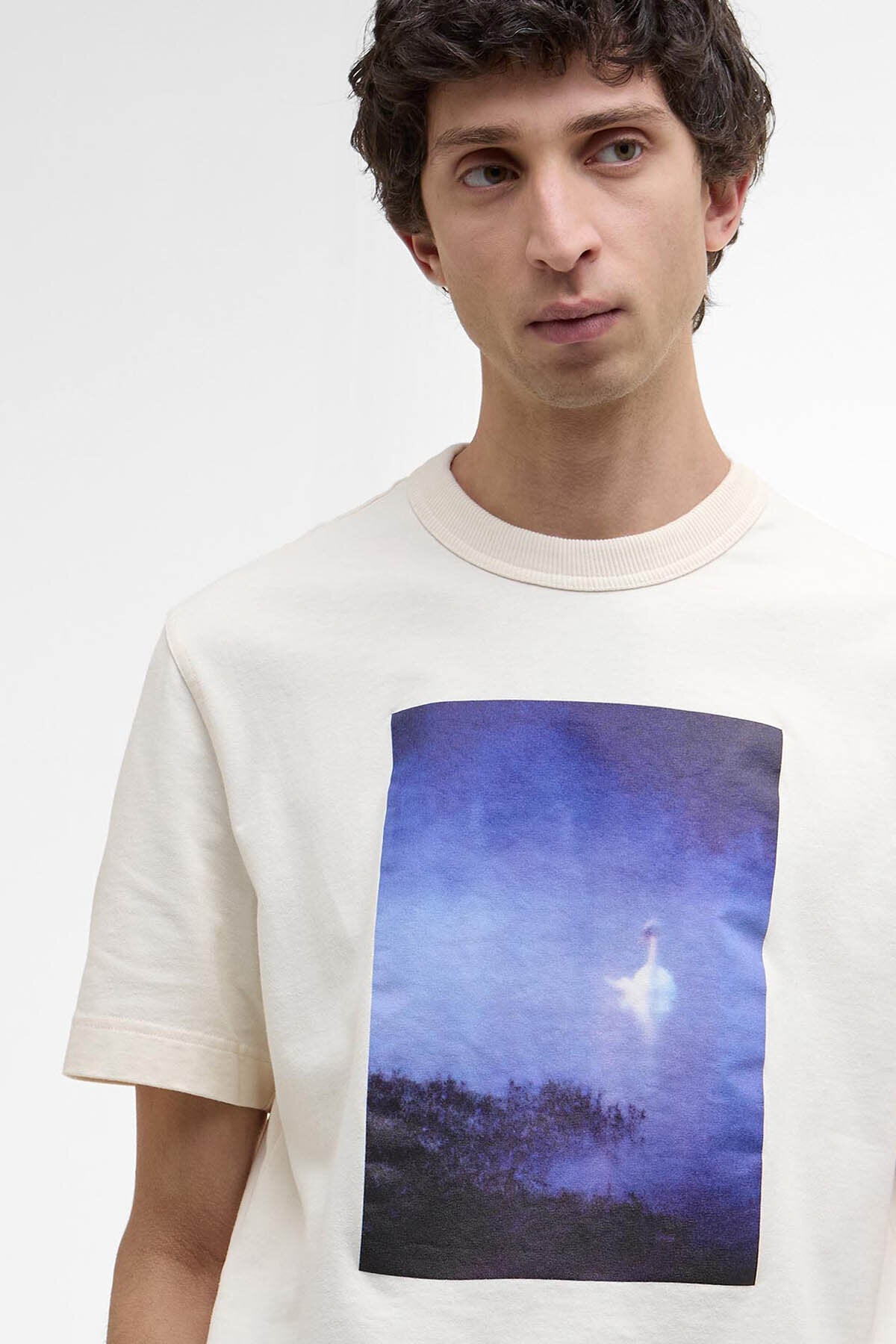 Archiv Schwan T-Shirt