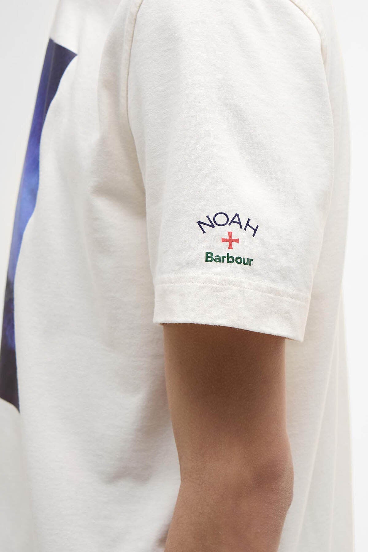 Archiv Schwan T-Shirt
